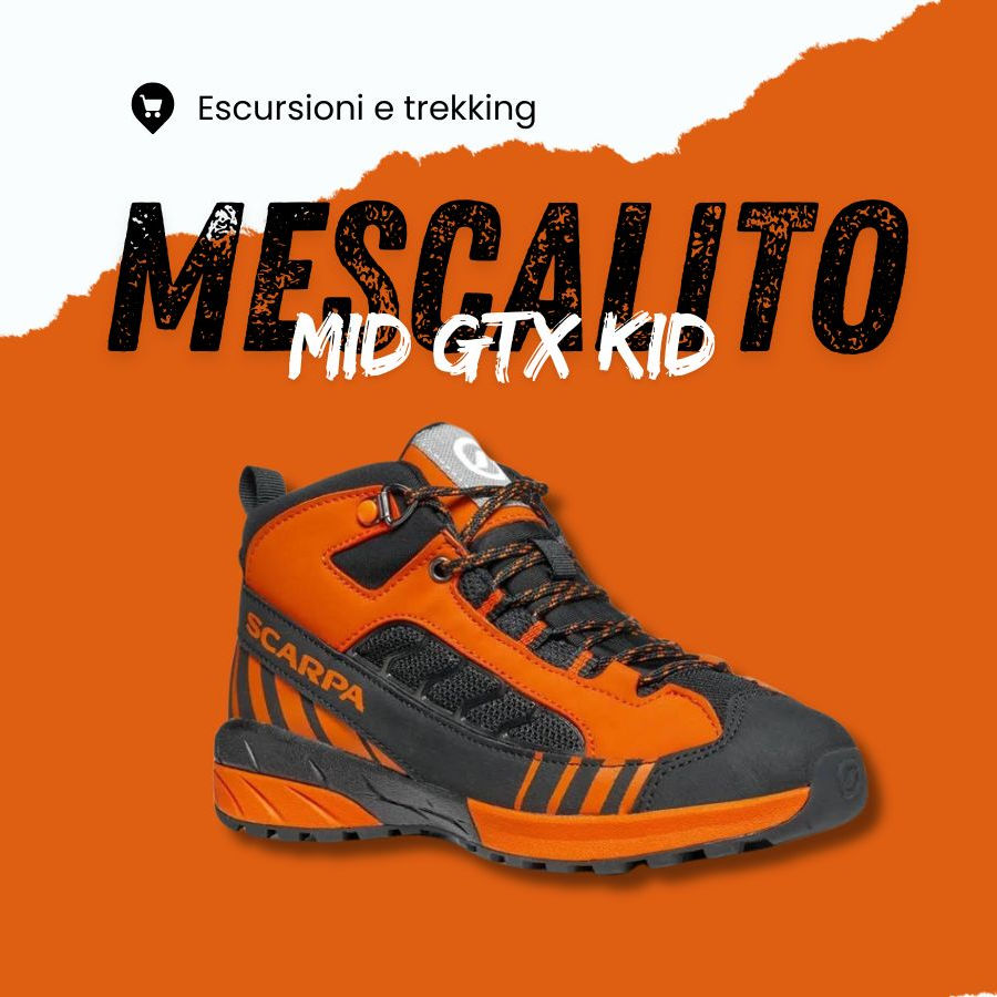 Mescalito Mid GTX Kid